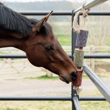 Paarden speelgoed hout De-Stress – natuurlijk kalmerend