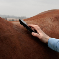 Stalen roskam Grooming Deluxe Zwart