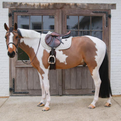Tapis de saut d'obstacles Kentucky confortable