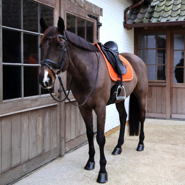 Tapis de Selle Kentucky Melange Dressage Orange Tapis de Selle Kentucky Melange Dressage Orange