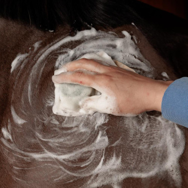 Shampoing Solide Grooming Deluxe by Kentucky Propolis Multi-couleurs