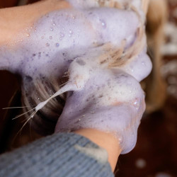 Paarse paarden shampoo met amandelgeur – Kentucky