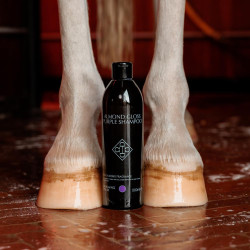 Paarse paarden shampoo met amandelgeur – Kentucky