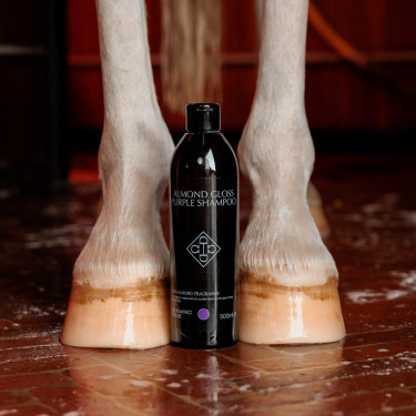 Paarse paarden shampoo met amandelgeur – Kentucky