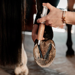 Zinkpasta voor paardenhoeven – Kentucky Equi Hoof