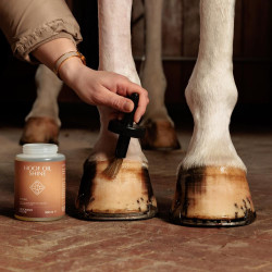 Paarden hoefolie met glans – Kentucky Shine Grooming Deluxe Paarden hoefolie met glans – Kentucky Shine Grooming Deluxe