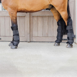 Stable boots PROtect voor voorbenen lange versie Kentucky Zwart Stable boots PROtect voor voorbenen lange versie Kentucky Zwart