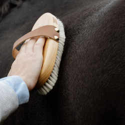 Zachte borstel Grooming Deluxe Bruin Zachte borstel Grooming Deluxe Bruin