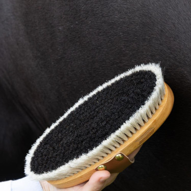 Afwerkingsborstel Grooming Deluxe Bruin