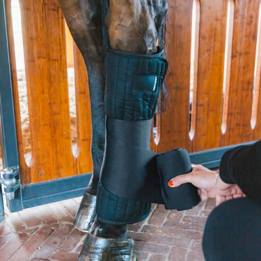 Coton américain Kentucky Noir