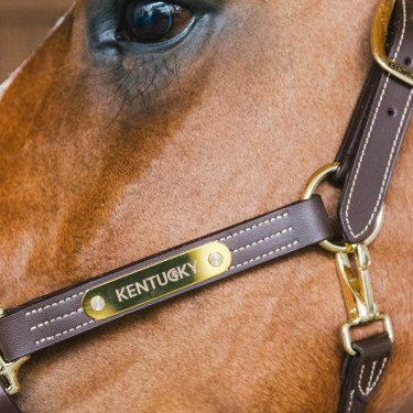 Paardenhalster vegan leer Kentucky Wellington – ruitersport