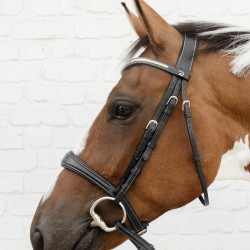 Anatomische Neusriem zonder Kinriem D Collectie Dy'on Zwart