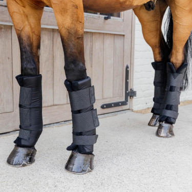 Stable Boots Kentucky PROtect Classic Front Noir