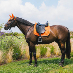 Tapis de selle Kentucky Diamond Rope Dressage Orange Tapis de selle Kentucky Diamond Rope Dressage Orange