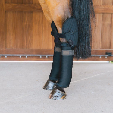 Sous Bandage d'Ecurie et de Transport avec Protection de Jarret Kentucky Noir Sous Bandage d'Ecurie et de Transport avec Protection de Jarret Kentucky Noir