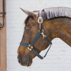 Licol de sécurité Breakaway en nylon pour chevaux Kentucky