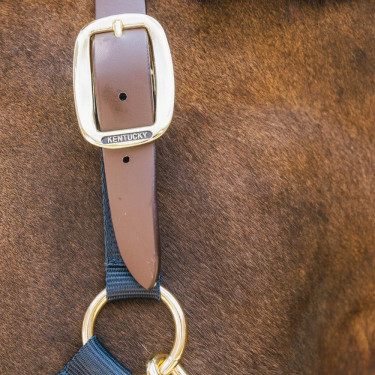 Veilig paardenhalster met breekpunt - Kentucky