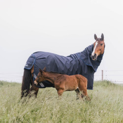 Couverture d'Équitation Extérieure Imperméable Kentucky 1200D