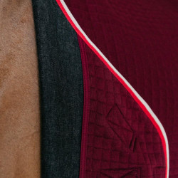 Thermisch zweetdeken voor paarden - PROtherm