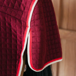 Thermisch zweetdeken voor paarden - PROtherm