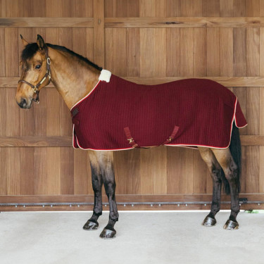 Couverture séchante d'équitation Kentucky PROtherm