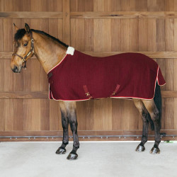 Thermisch zweetdeken voor paarden - PROtherm