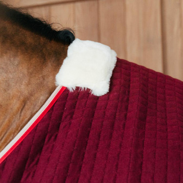 Couverture séchante d'équitation Kentucky PROtherm