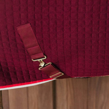 Couverture séchante d'équitation Kentucky PROtherm