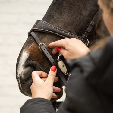 Anatomisch hoofdstel voor eventing & jumping