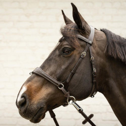 Bridon d'équitation Dy'on Working Motion – 5 usages possibles