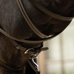Anatomisch hoofdstel voor eventing & jumping