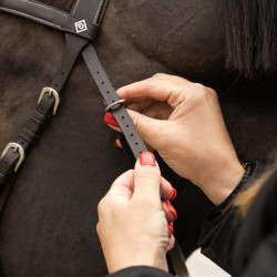 Bridon d'équitation Dy'on Working Motion – 5 usages possibles