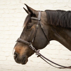 Anatomisch hoofdstel voor eventing & jumping