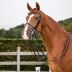 Bride Dy'on collection dressage cuir plat Muserolle Large Vernie Doublure Blanche Noir