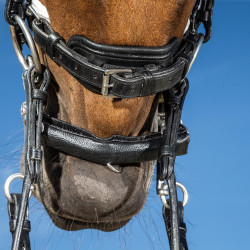 Dy'on collectie hoofdstel dressuur plat leer Lakneusriem Breed Wit Voering Zwart