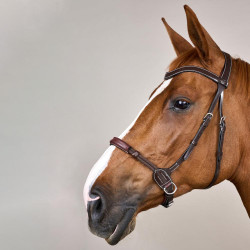 Bridon sans mors pour chevaux sensibles - Dy'on Bridon sans mors pour chevaux sensibles - Dy'on
