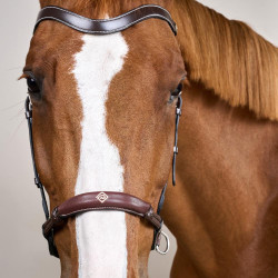 Bridon sans mors pour chevaux sensibles - Dy'on Bridon sans mors pour chevaux sensibles - Dy'on
