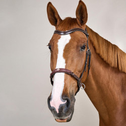 Bridon sans mors pour chevaux sensibles - Dy'on Bridon sans mors pour chevaux sensibles - Dy'on