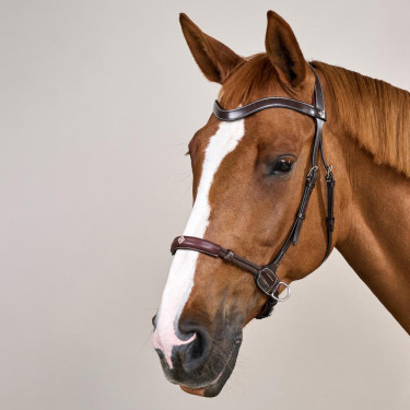 Bridon sans mors pour chevaux sensibles - Dy'on Bridon sans mors pour chevaux sensibles - Dy'on