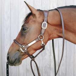 Lijn en presentatieketting van leer Kentucky Bruin Lijn en presentatieketting van leer Kentucky Bruin
