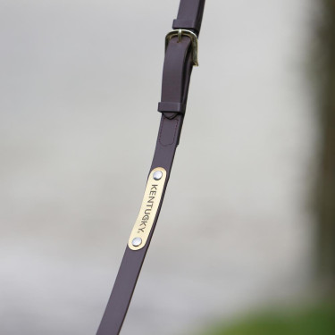 Longe de présentation Kentucky Marron