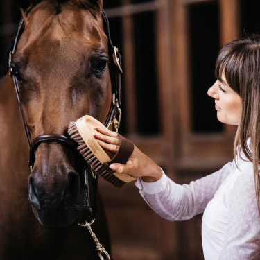 Paardenborstel zachte nylonharen – Kentucky Grooming Paardenborstel zachte nylonharen – Kentucky Grooming