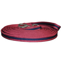 Lange teugel Canter Lange teugel Canter