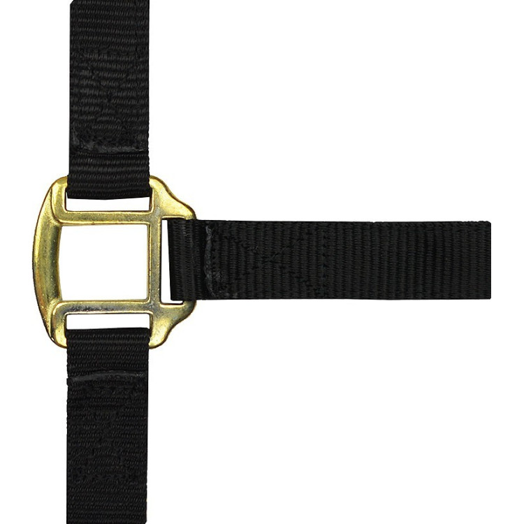 Licol nylon doublé cuir Norton Licol nylon doublé cuir Norton