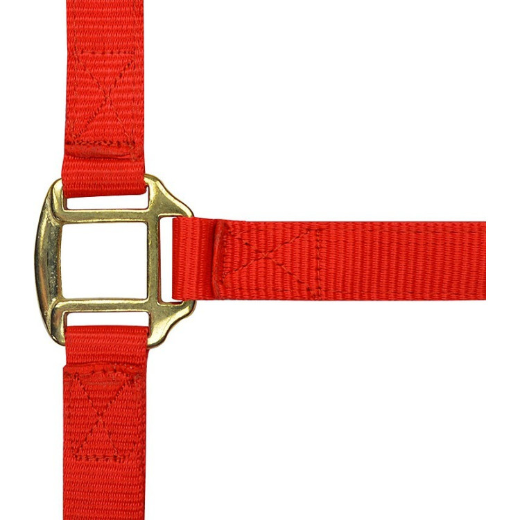 Licol nylon doublé cuir Norton Licol nylon doublé cuir Norton