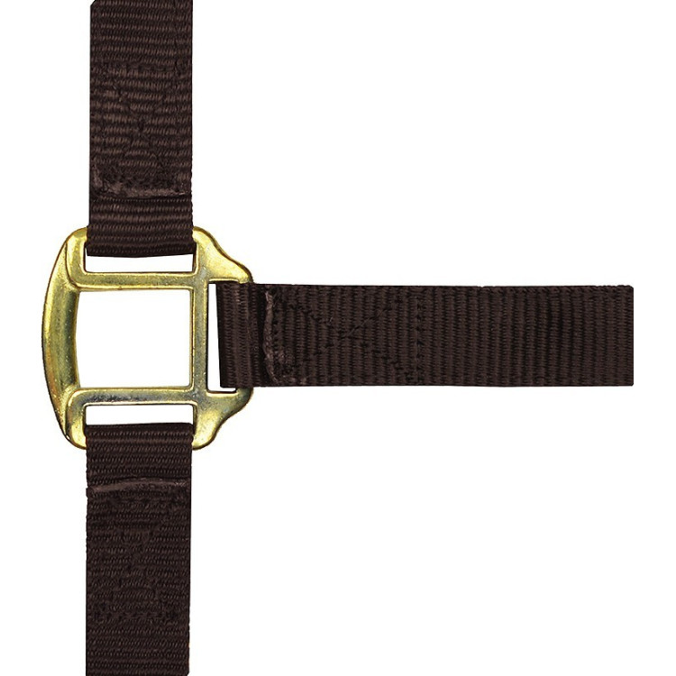 Licol nylon doublé cuir Norton Licol nylon doublé cuir Norton