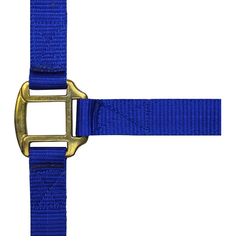 Licol nylon doublé cuir Norton Licol nylon doublé cuir Norton