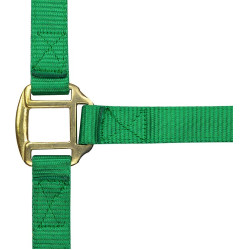 Nylon halster met lederen voering Norton Lichtgroen