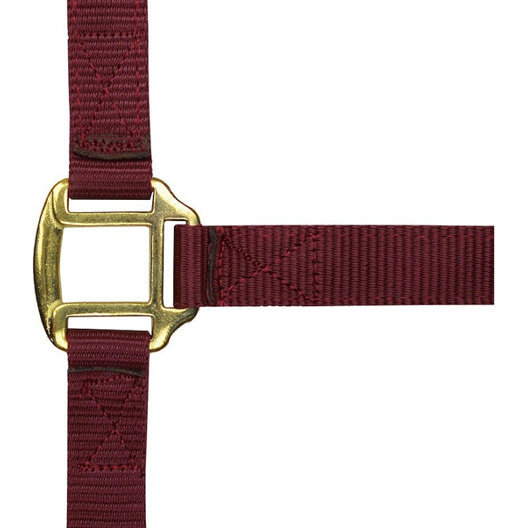 Licol nylon doublé cuir Norton Licol nylon doublé cuir Norton