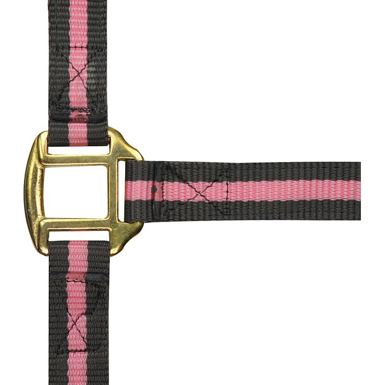 Licol nylon doublé cuir Norton Licol nylon doublé cuir Norton